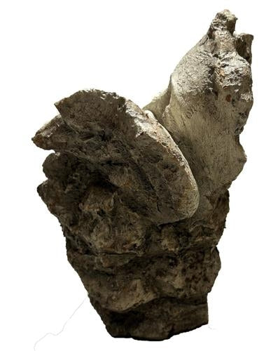 Vintage Kissing Heads Antique Marble