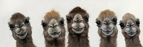 Bad Hair Day 5 Llama Canvas 500x1500mm