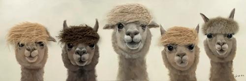 Bad Hair Day 5 Alpaca Canvas 500x1500mm