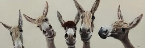 Bad Hair Day 5 Donkey Canvas 500x1500mm