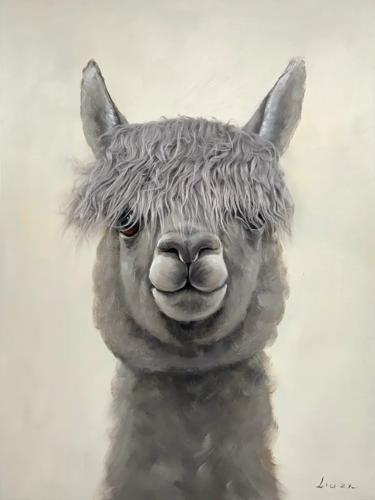 Bad Hair Day Alpaca Canvas 750x1000mm