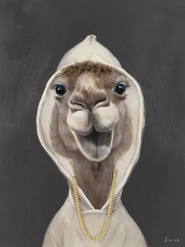 Bad Hair Day Alpaca Canvas 750x1000mm ZL6010