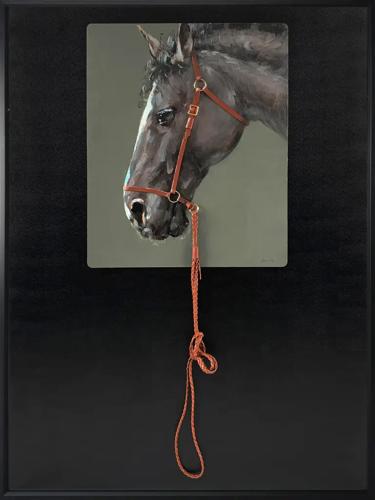 Brown Horse with Reins Canvas 900x1200mm