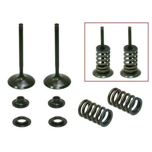 Namura Inlet Valve Kit Psychic MX Incl 2 Valves, 2 Springs, Retainers & Seats