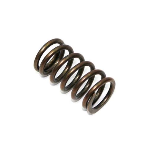 Namura Motorcycle Exhaust Valve Spring Psychic Heavy Duty