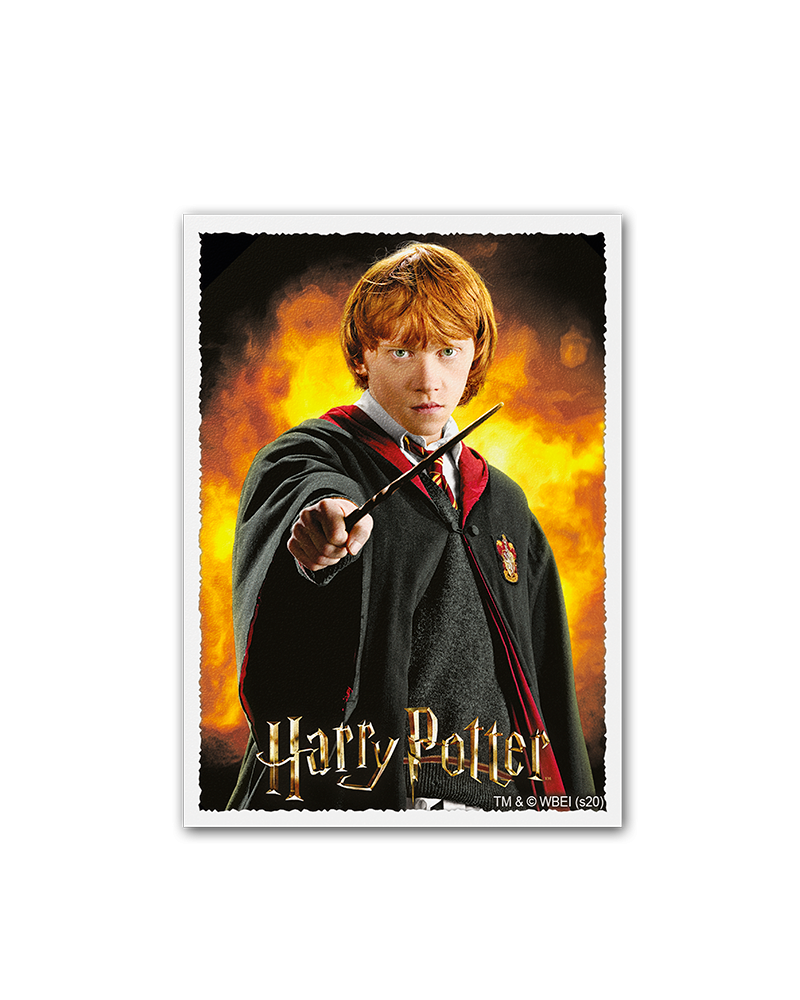 Dragon Shield: Sleeves - Matte Art - WizardingWorld: Ron Weasley