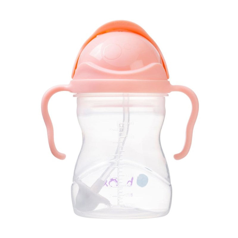 B.BOX BC SIPPY CUP V2 TUTTI FRUTTI