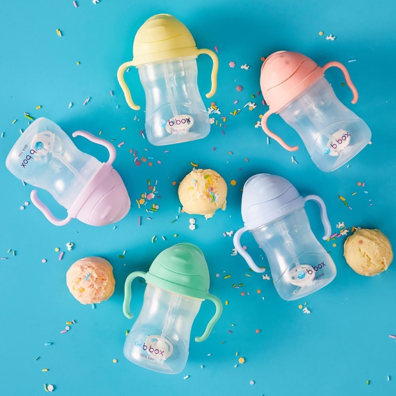 B.BOX BC SIPPY CUP V2 BOYSENBERRY