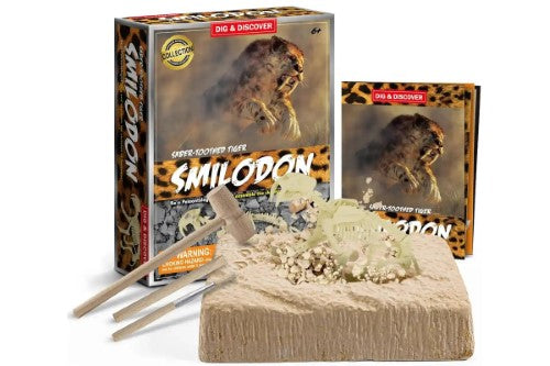 Dig Kits - Piano Potato Smilodon Saber-Tooth Tiger