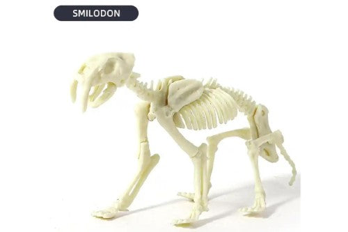 Dig Kits - Piano Potato Smilodon Saber-Tooth Tiger