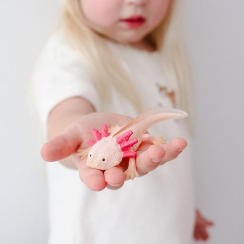 Figurine - CollectA Axolotl