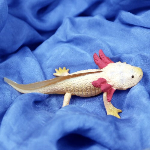Figurine - CollectA Axolotl