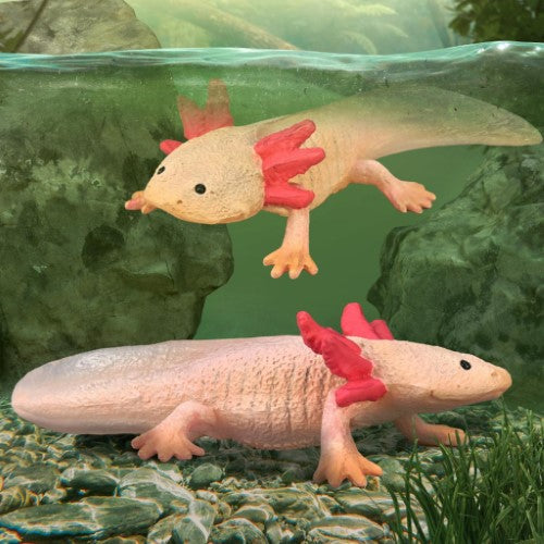 Figurine - CollectA Axolotl