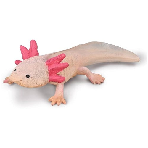 Figurine - CollectA Axolotl
