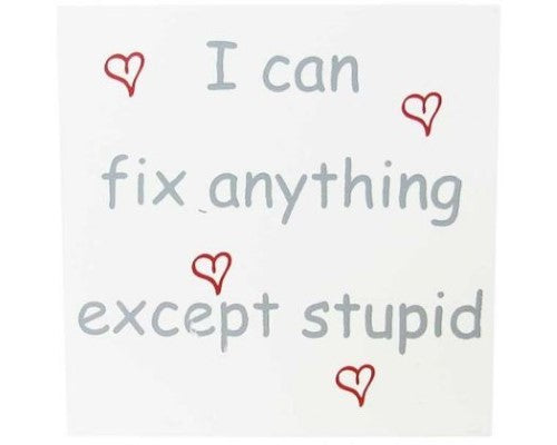 Family Magnet Fix Stupid