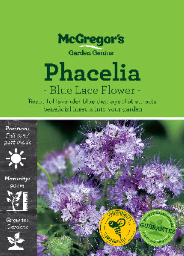 McGregor's Phacelia Blue Lace Flower Seed Packet
