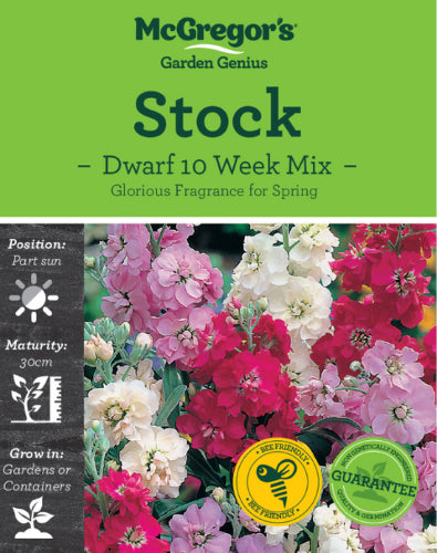 McGregor's Stock Dwarf 10 Week Mixed Flower Seed Packet
