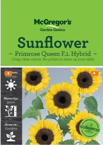 McGregor's Sunflower Primrose Queen Flower Seed Packet