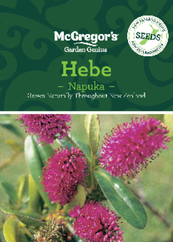 McGregor's Hebe N.Z. Native Seed Packet