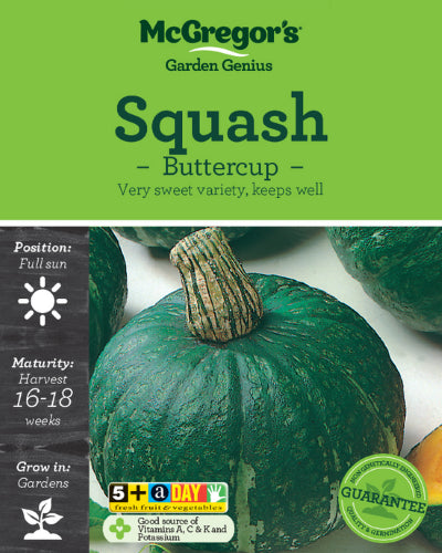 McGregor's Squash Buttercup Vegetable Seed Packet