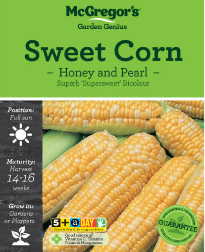 McGregor's Sweet Corn Honey And Pearl Vegetable Seed Packet