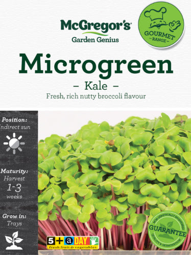 McGregor's Microgreen Kale