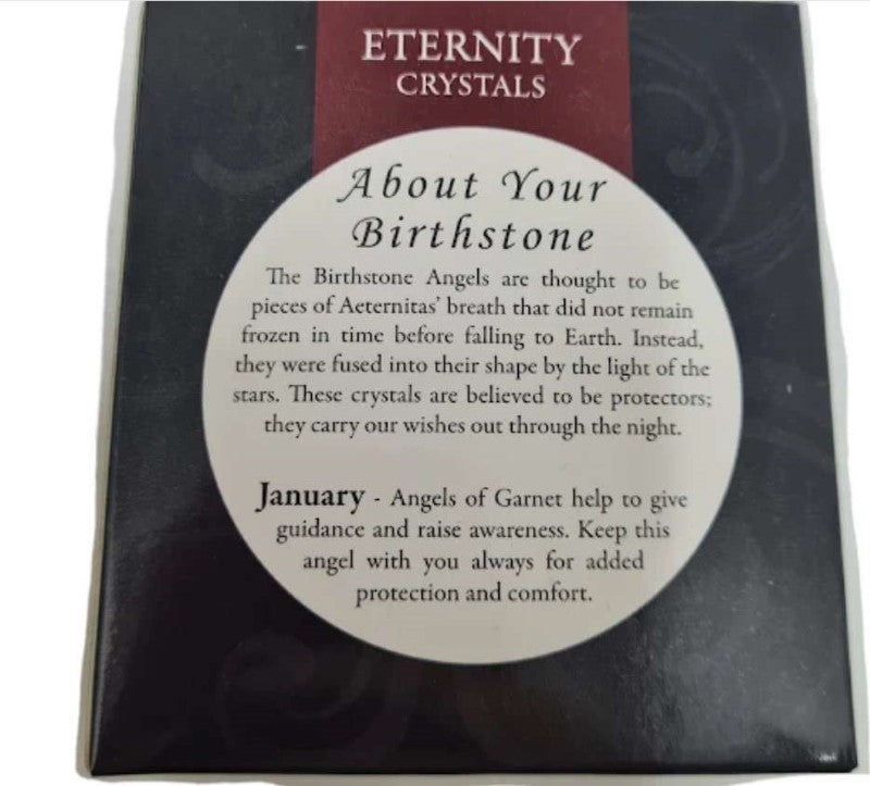 Birthstone Suncatcher - Eternity Crystals Jan 10.2 x 7 x 1.6cm (Set of 2)