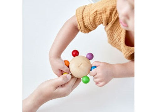 Plantoys - Pull & Grasp