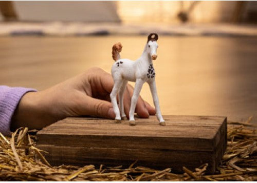 Schleich Marwari Foal