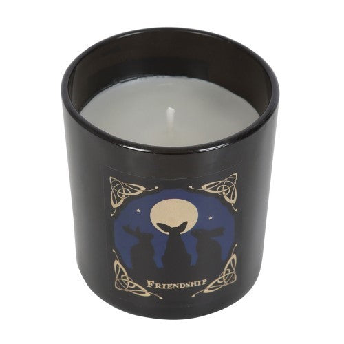 Moon Gazing Hares Frangipani Fragranced Friendship Candle