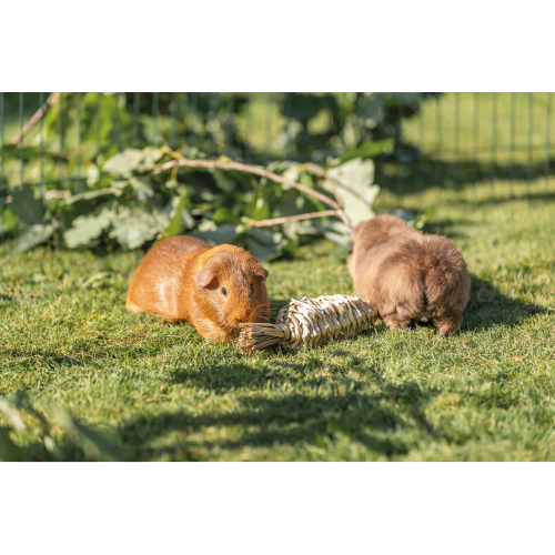 Small Animal Toy Grass Carrot 20cm
