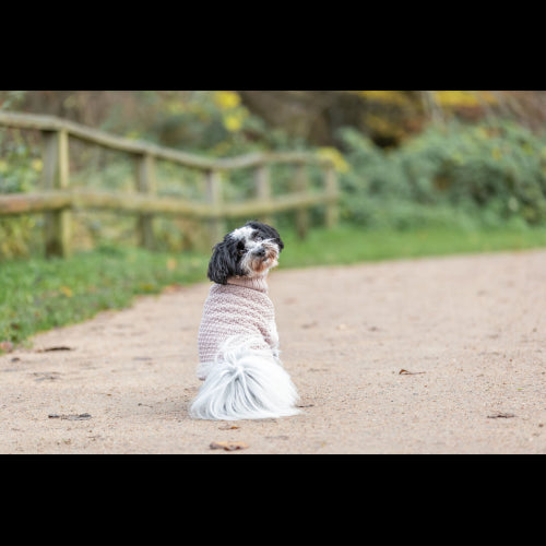 Dog Clothing Norwood Pullover XS: 27cm Blush