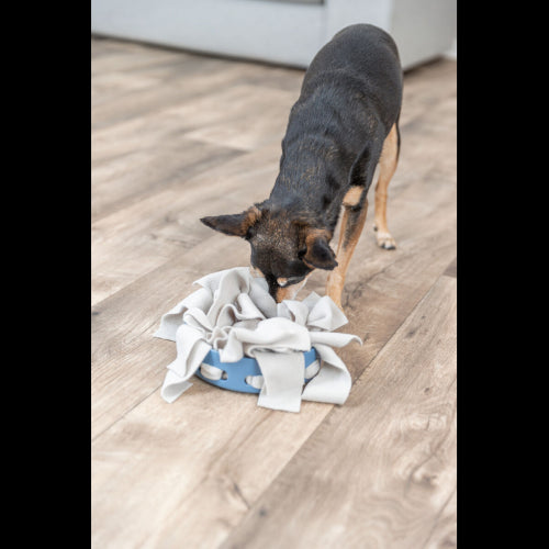 Dog Training Aid Dog Activity Hide -n- Sniff Bowl