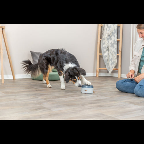 Dog Training Aid Dog Activity Buzzer