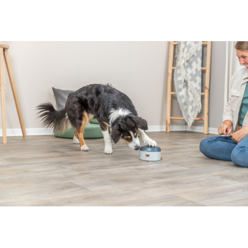 Dog Training Aid Dog Activity Buzzer