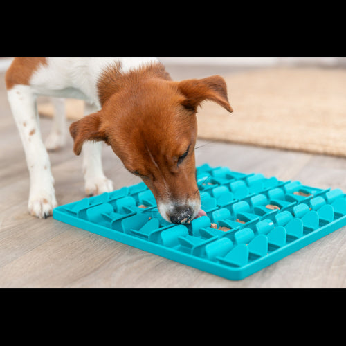 Dog Training Aid Lick 'n' SNack Mat 30cm