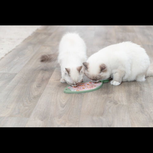 Dog Training Aid Lick 'n' Snack Mat silicone 28cm Sage