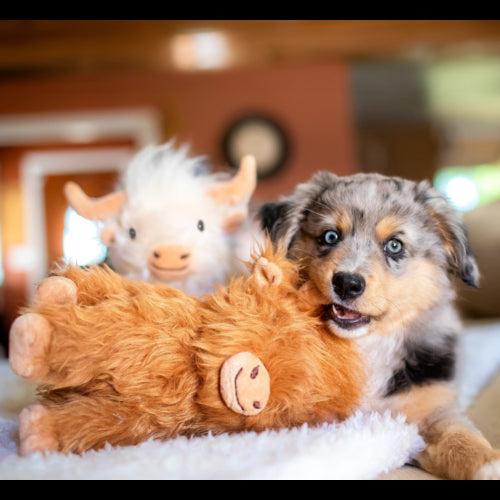 Dog Toy Plush Highland Cow Shaggy 20cm