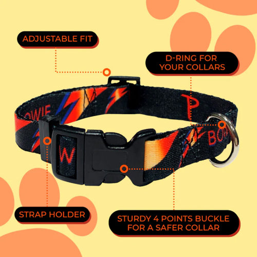 Dog Bowie Lightning Bolt Collar - Sml 25-40cm