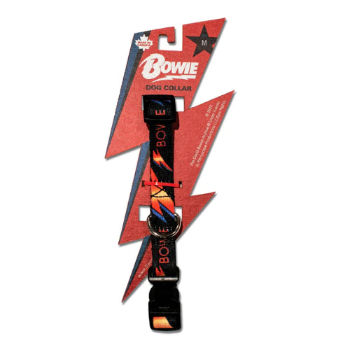 Dog Bowie Lightning Bolt Collar - Lge 38-60cm