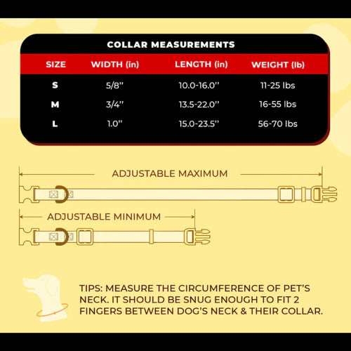Dog Bowie Lightning Bolt Collar - Lge 38-60cm