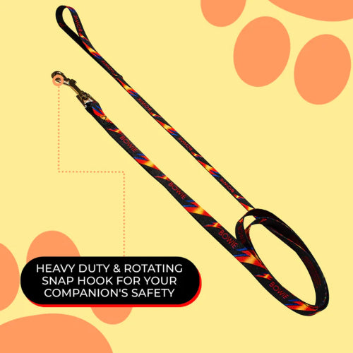 Dog Bowie Lightning Bolt Lead 183cm