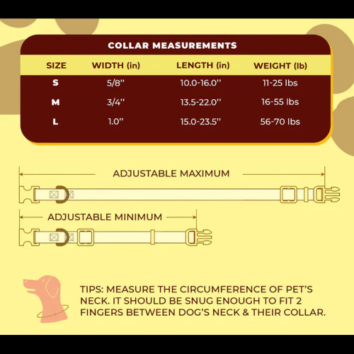 Dog Fender Monogram Collar - Sml 25-40cm