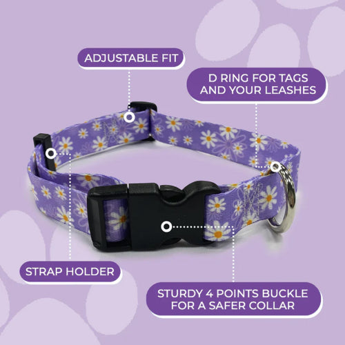 Dog Daisy Purple Collar - Sml 25-40cm