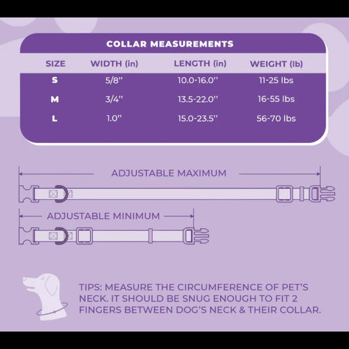 Dog Daisy Purple Collar - MEzydog 34-56cm