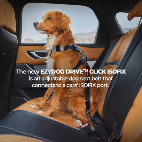 Dog Harness Car Ezydog Click ISOFIX Standard