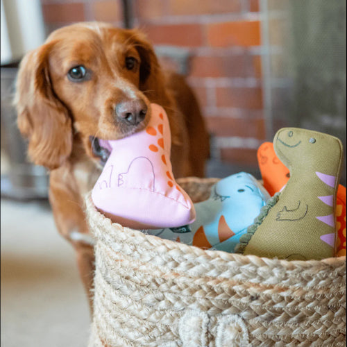 Dog Toy Plush Beco Hattie the Hatchling - Sml