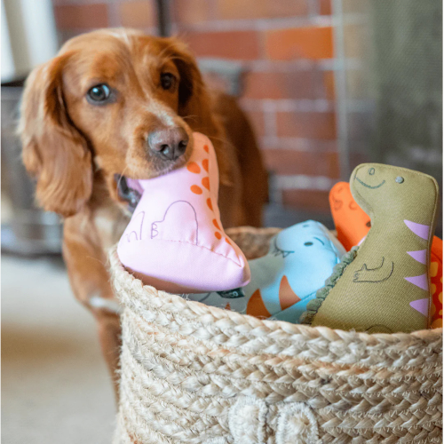 Dog Toy Plush Beco Hattie the Hatchling - Sml