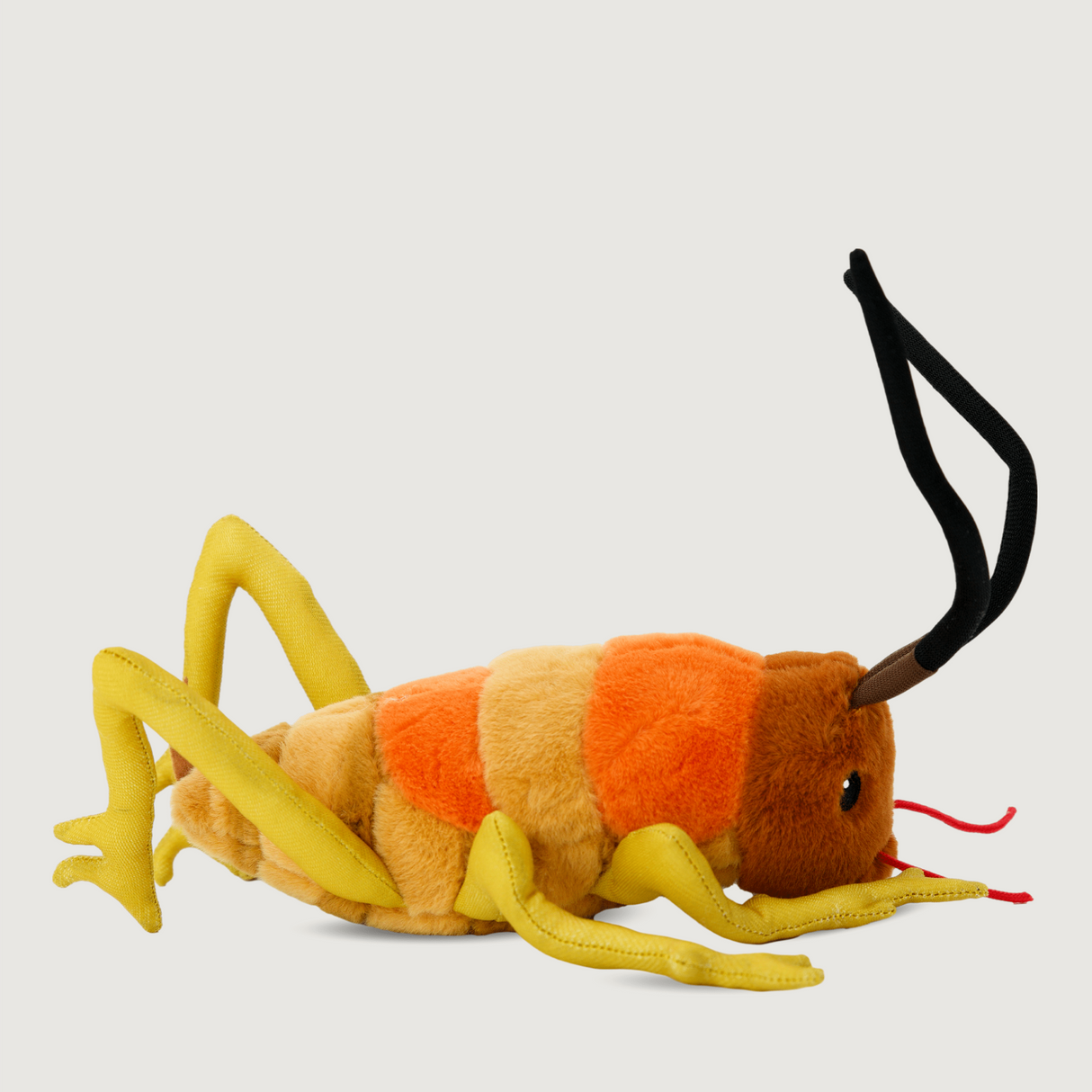 Moana Road - Soft Toy - Wiremu the Weta - Set of 2