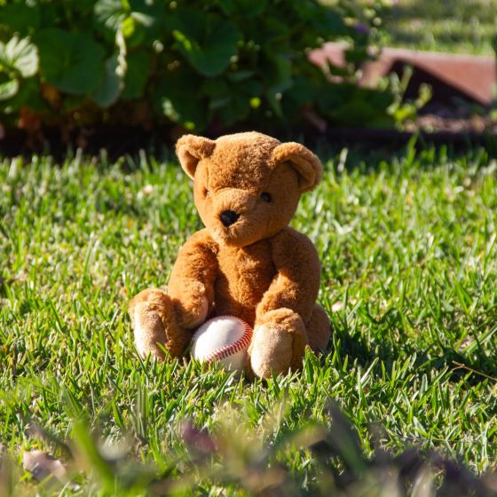 Theodore Teddy - Large - Wonderlings
